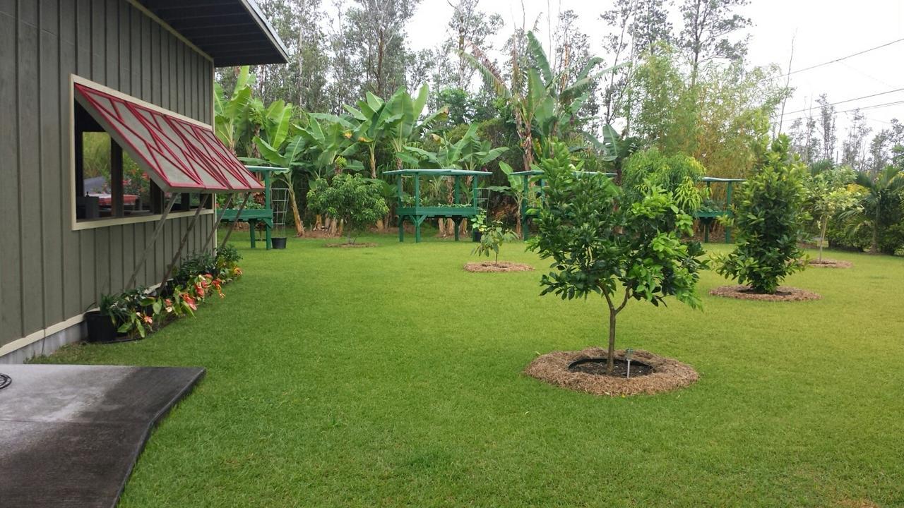 Robbrecht Troost Pottery Villa Pahoa Ngoại thất bức ảnh